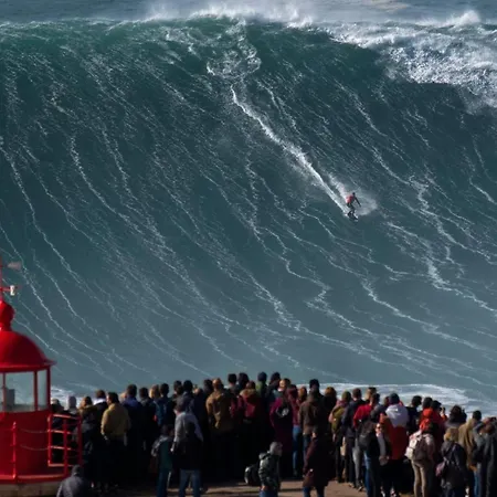 Casa Iroko - A Modern Villa, With Private Pool, In A Quiet Area *