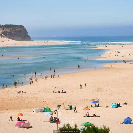 Casa Iroko - A Modern Villa, With Private Pool, In A Quiet Area Βίλα Nadadouro